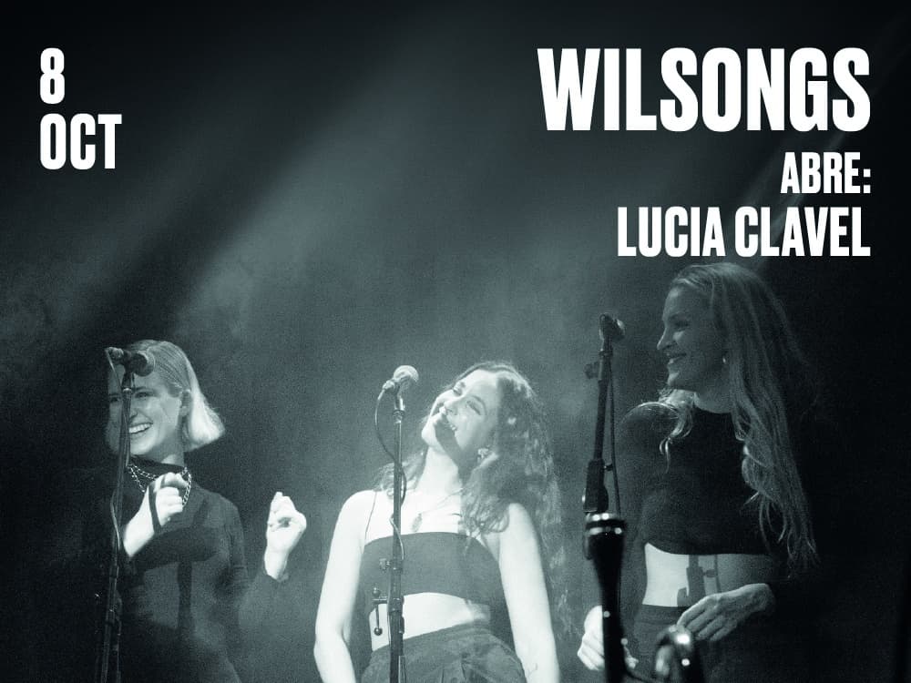 Imagen de Wilsongs
