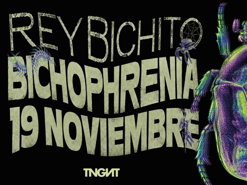 Imagen de Rey Bichito