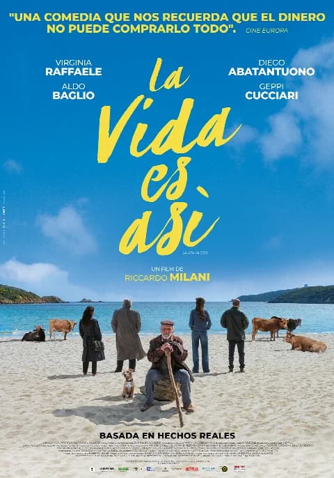 Poster de LA VIDA ES ASÍ