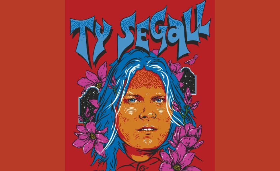 Imagen de Ty Segall