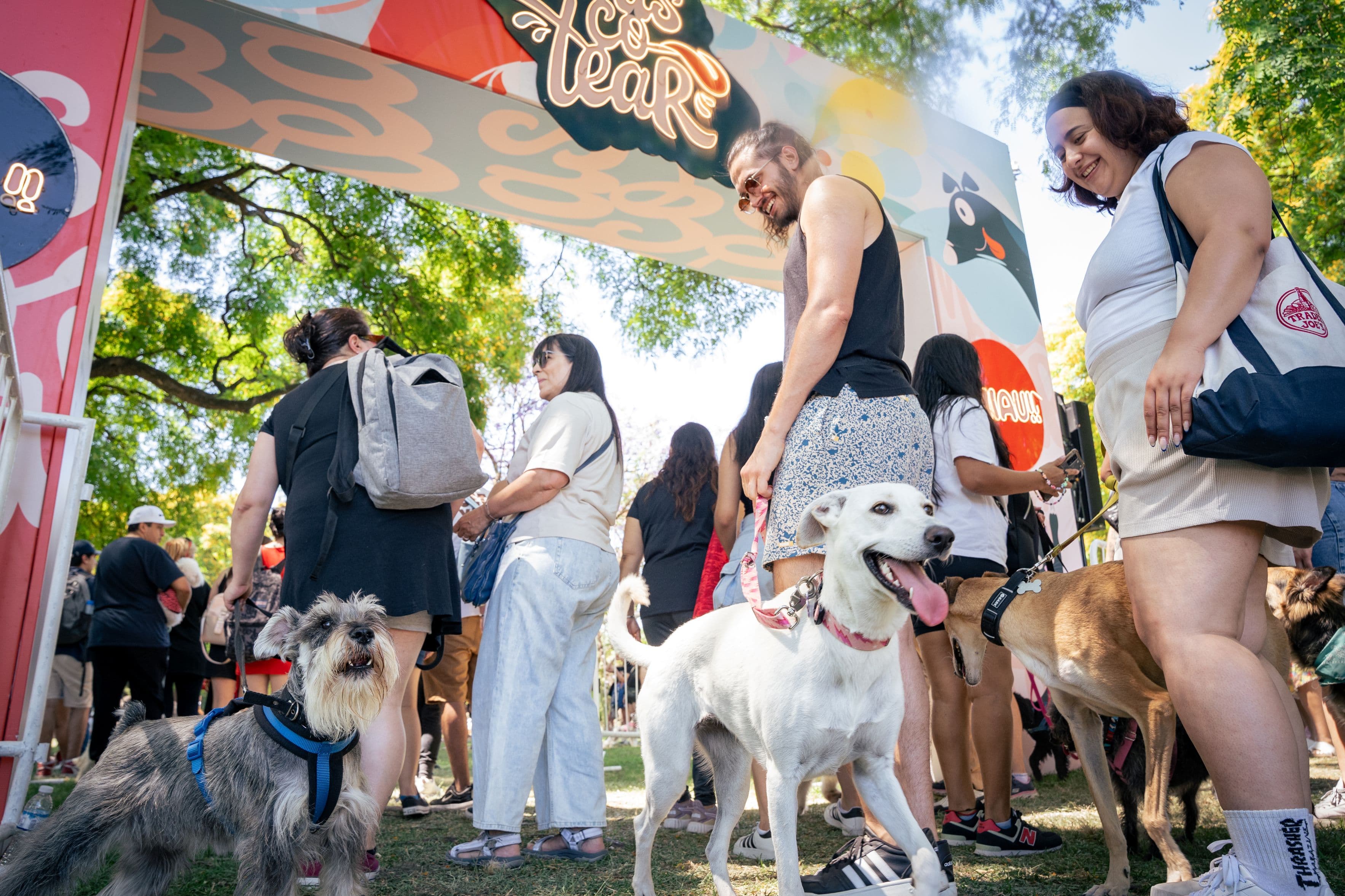 Imagen de Festival Mascotear