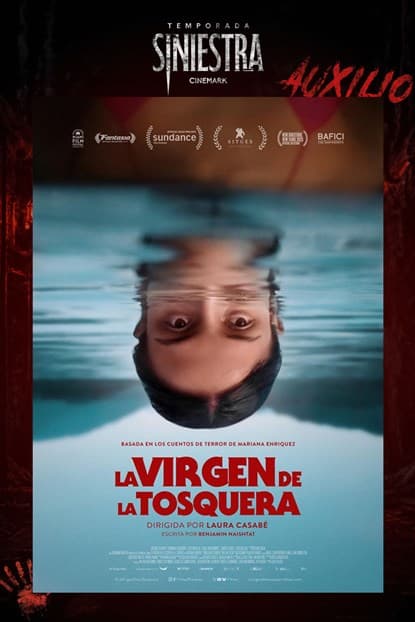 Poster de Ts 2026 - la Virgen de la Tosquera