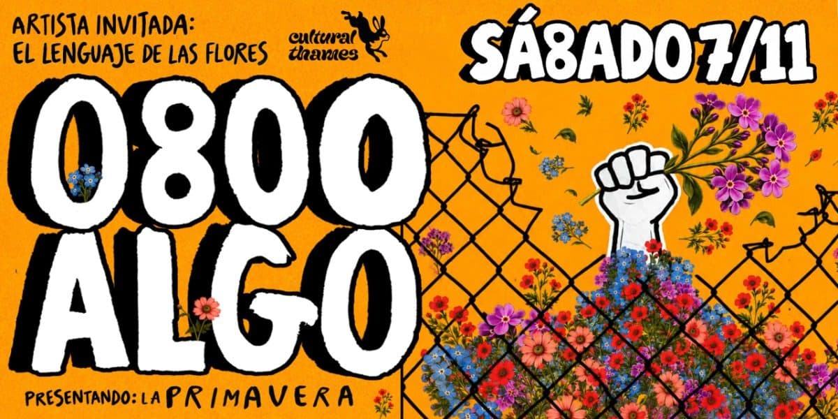Imagen de 0800algo