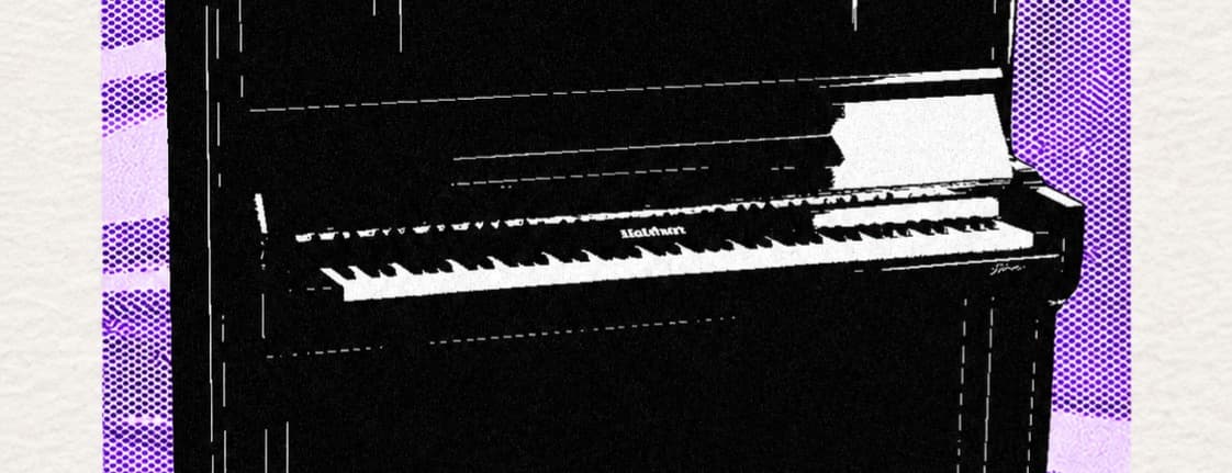 Imagen de LATIN PIANO BAR en Niceto Bar