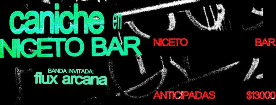 Imagen de Caniche en Niceto Bar
