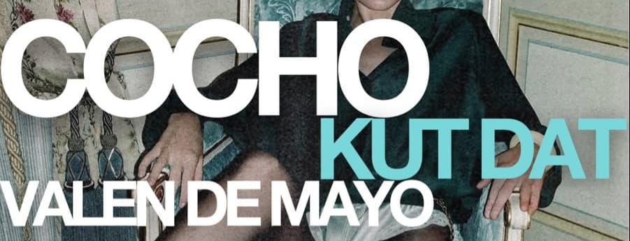 Imagen de NOT WELCOME PRESENTS COCHO