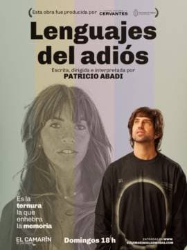 Imagen de Lenguajes del adiós