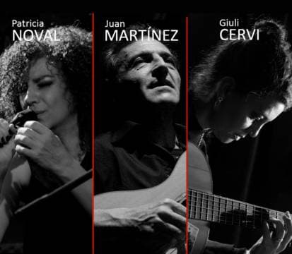 Imagen de Patricia Noval-Giuli Cervi-Juan Martínez