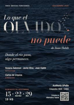 Imagen de Lo que el olvido no puede