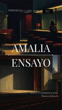 Imagen de Amalia Ensayo