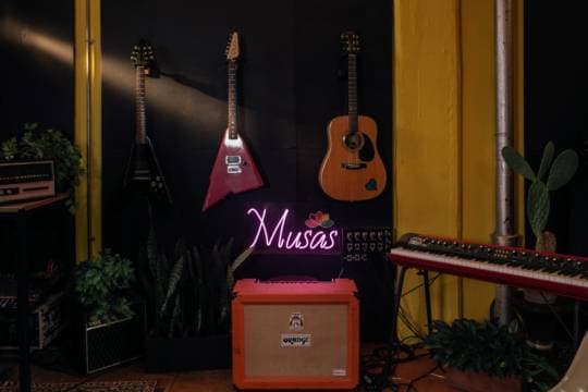 Imagen de Ciclo Musas