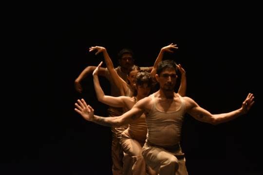 Imagen de Querida Danza, dos puntos