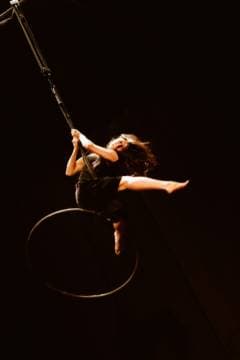 Imagen de Escenas suspendidas