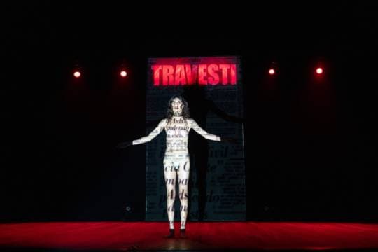 Imagen de Manifesto transpofágico