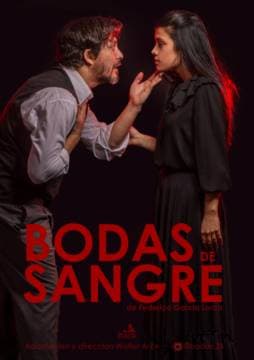 Imagen de Bodas de Sangre