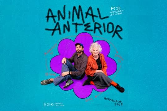 Imagen de Animal Anterior