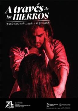 Imagen de A través de los hierros