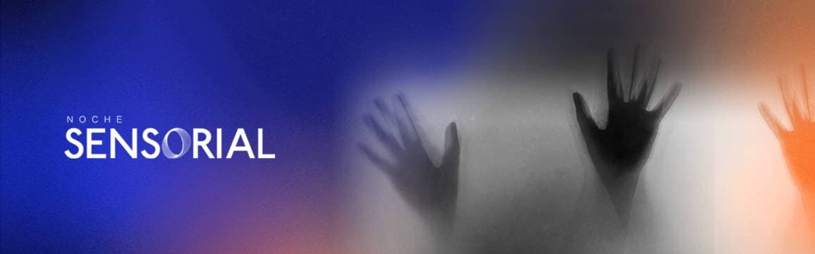 Imagen de Noche Sensorial