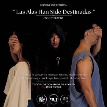 Imagen de Las alas han sido destinadas
