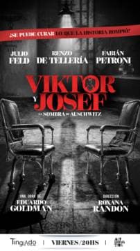 Imagen de VIKTOR Y JOSEF, La sombra de Auschwitz