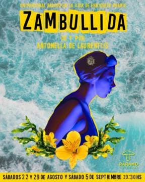 Imagen de Zambullida