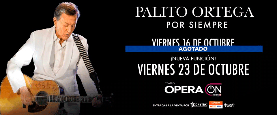 Imagen de Palito Ortega