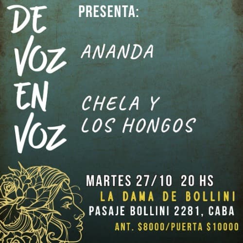 Imagen de La Dama de Bollini
