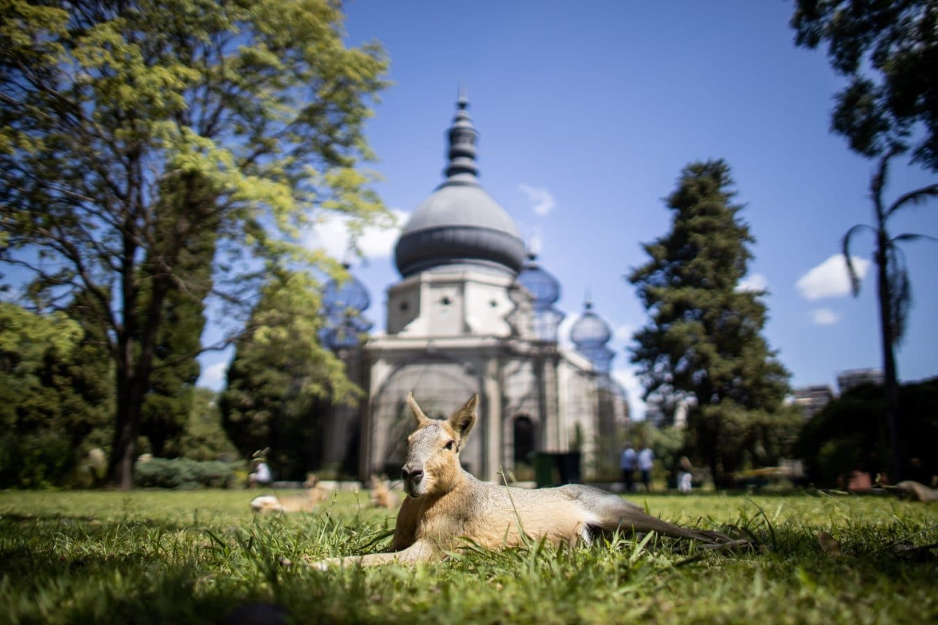 Imagen de Visita guiada al Ecoparque