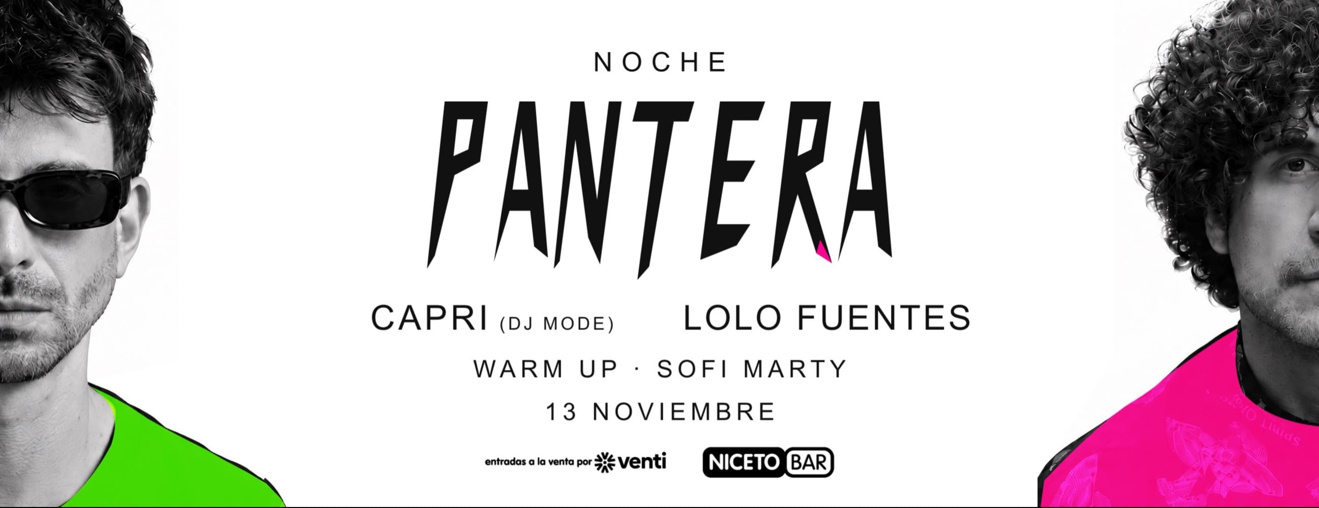 Imagen de Noche Pantera